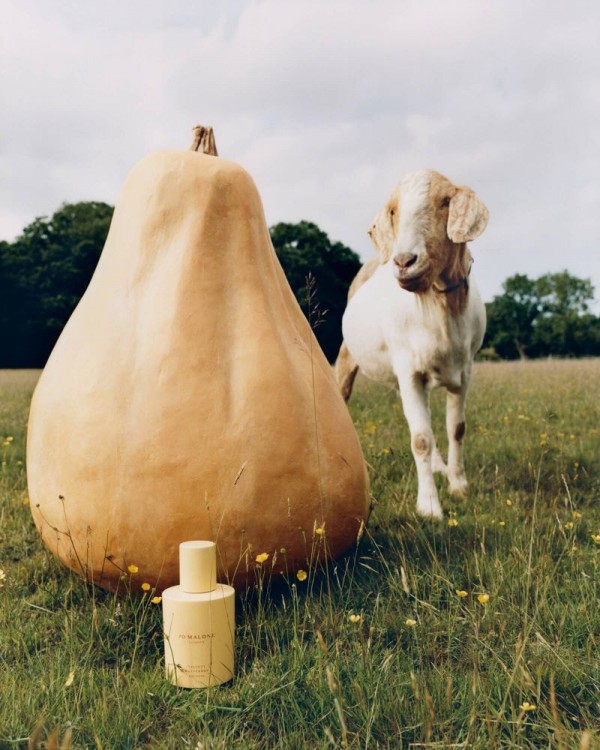 Jo Malone Spring 2026 Veggies Collezione