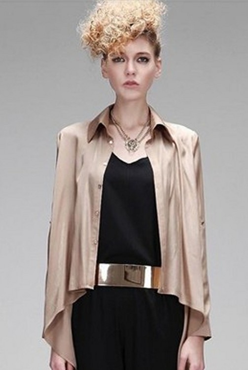 Gold metalic Plate belts